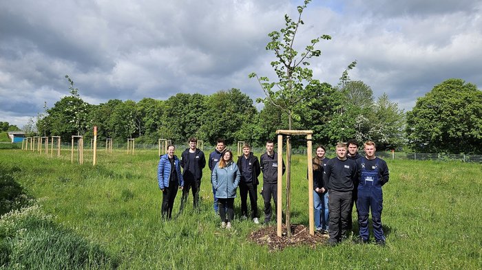 Eine Gruppe von BIKAR-Auszubildenden steht auf einer grünen Wiese auf dem Firmengelände in Korbußen neben einem neu gepflanzten jungen Baum, der von Holzpfählen gestützt wird. Im Hintergrund sind weitere frisch gepflanzte Bäume, Wiesenflächen und ein bewölkter Himmel zu sehen.